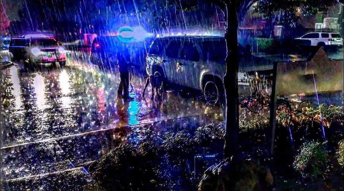 A handler and K9 working a scene at night in heavy rain, under patrol lights